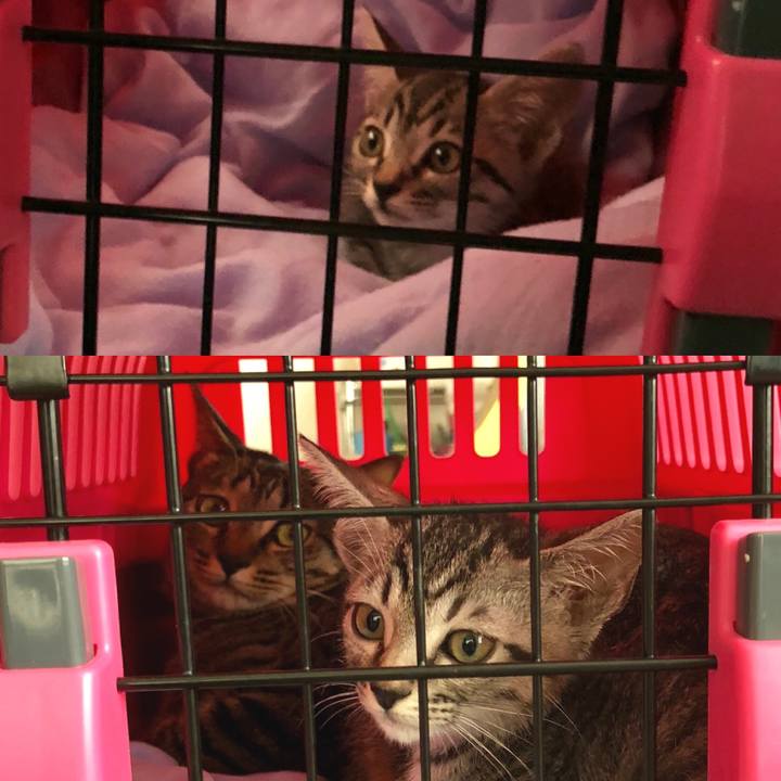 Ba59aae5 407b 4478 82ec eb73d0935459 1529214723219