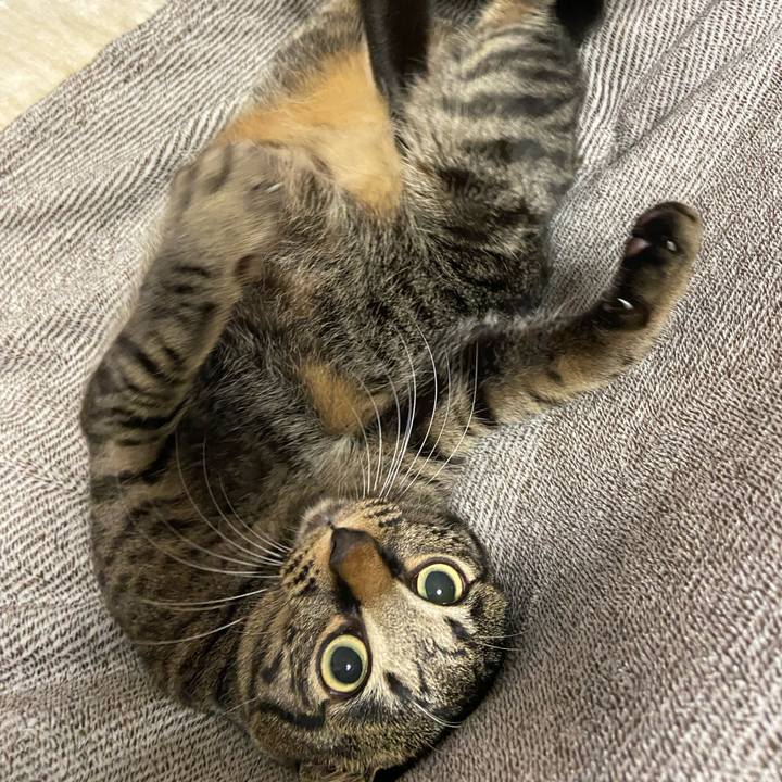 Ba59de0f 95fb 446a bae1 c7d8346e6325 1638875840468