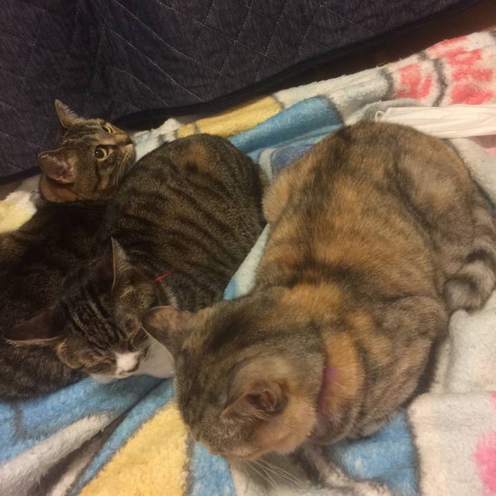 Ba59f76a 9eb9 4b6c 804b 5545d52589fb 1559662415522