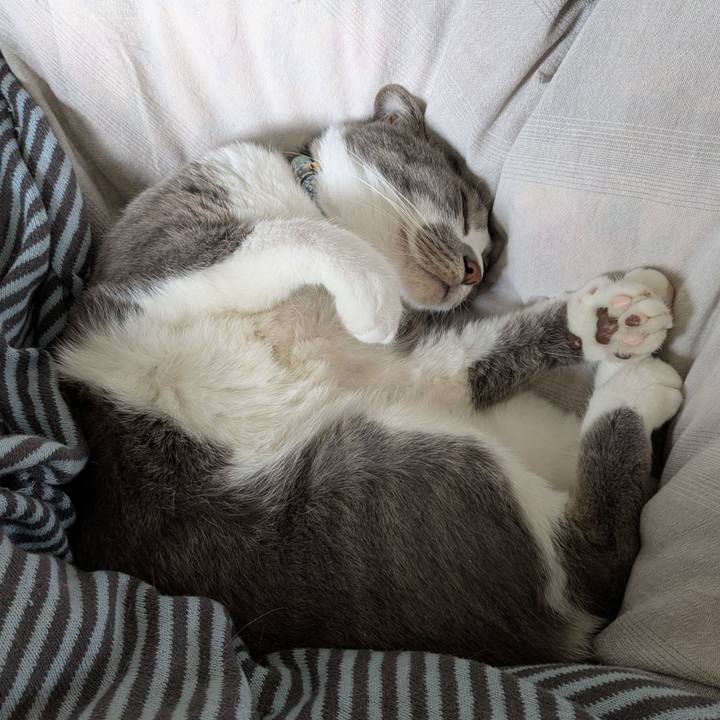 Ba59f81f 81fe 4207 982f 3af0b9a5ab61 1731204473773