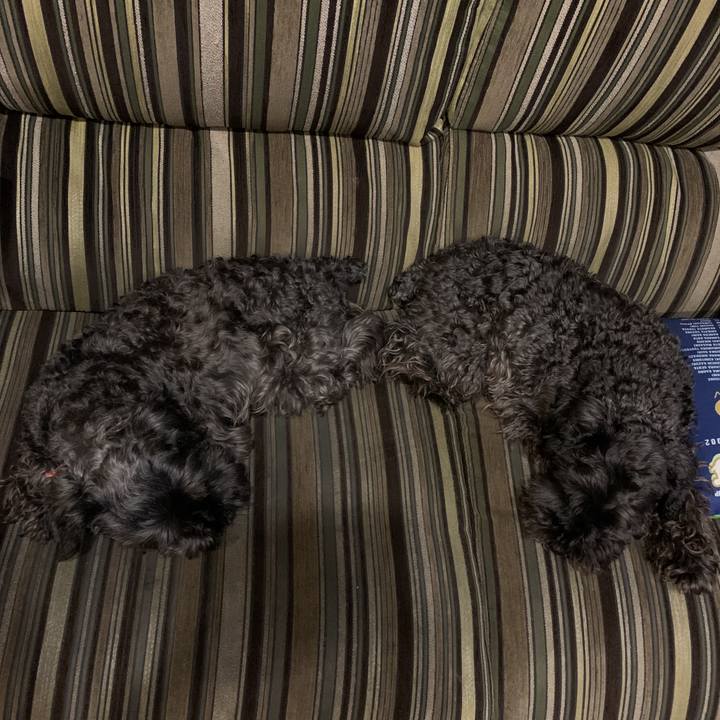 Ba5a61bc 50fe 4b2f b5e5 51eb5434962e 1589976015785