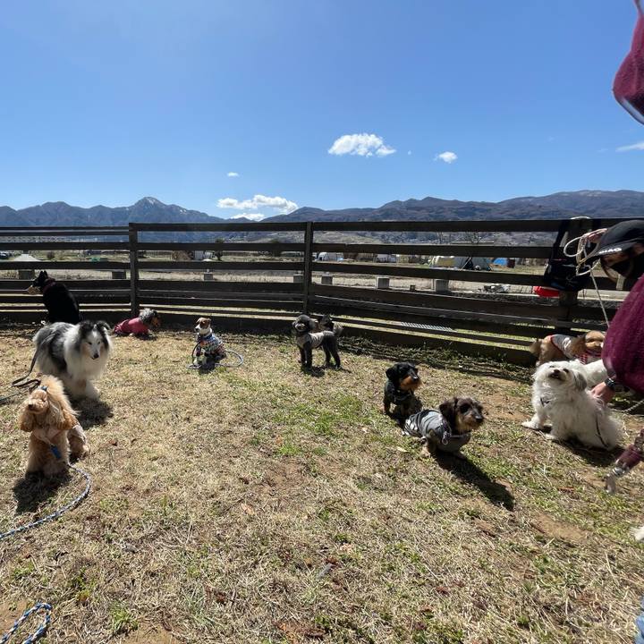 Ba5a6b30 77b2 4f01 b7cb 187f07901bd3 1649173040184