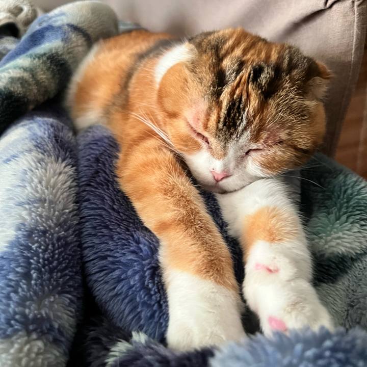 Ba5a7a53 9203 4adb 9405 147a5fa6a68d 1733062554161