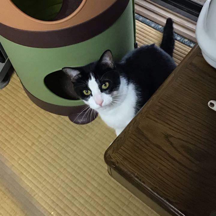 Ba5a9e55 9609 47f9 a34b 9d5ce9aa5332 1686737342038