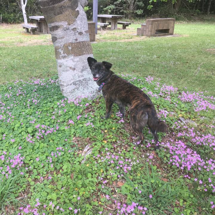 Ba5aa91e d1e4 4645 a9b5 1968fc220264 1556330204565