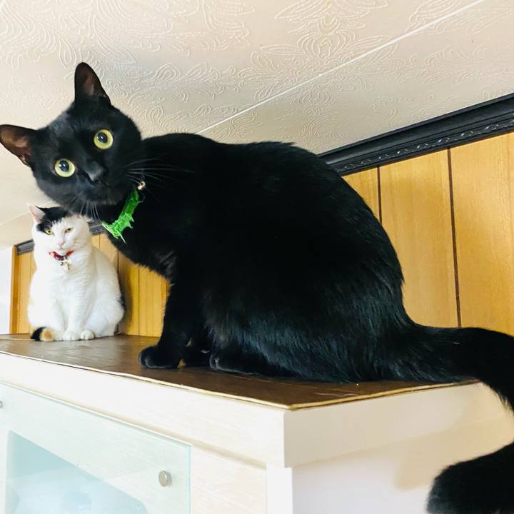 Ba5aed00 1425 46e6 b7fa c78eae9638c0 1745402149939