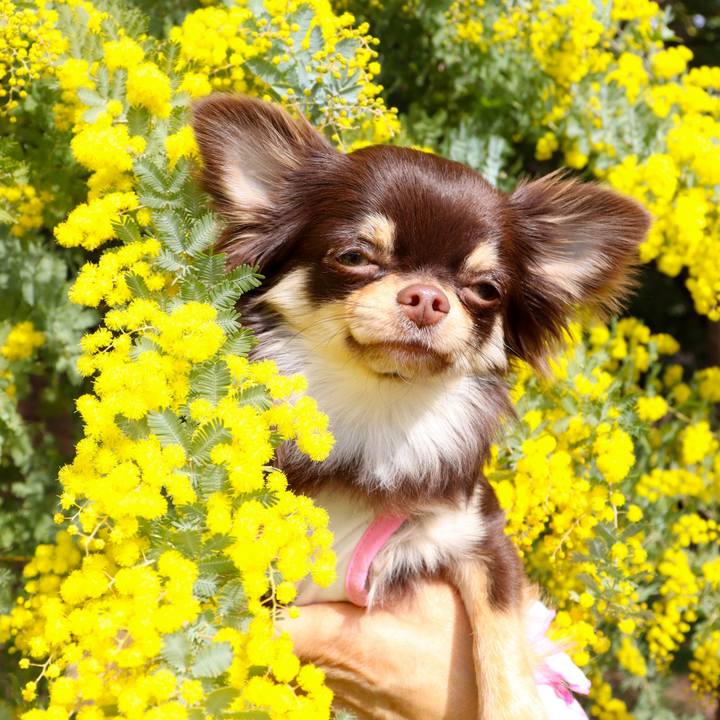 Ba5b0dc8 552f 44b6 8dcf 6a6ac2fa820e 1773012909816