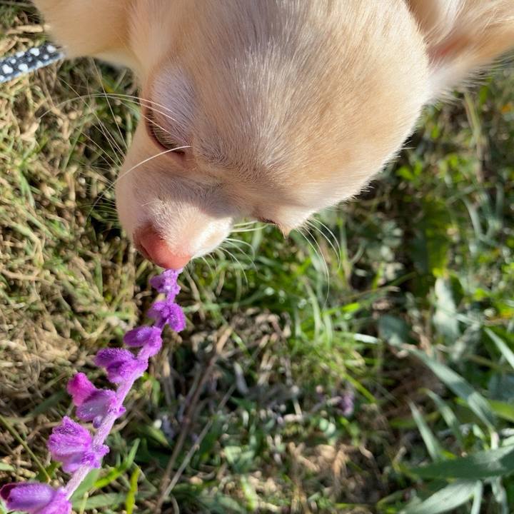 Ba5b16db 70c9 4e5d 8f25 c4a22d9fd654 1602820023443