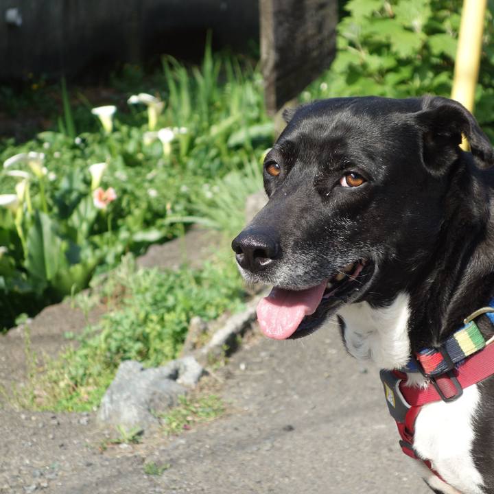 Ba5b1bf2 2135 45b1 9853 13a8c9f51920 1681175707154