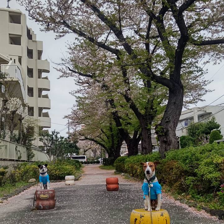 Ba5b37de e6ff 4870 8a61 2a220ce08903 1712878012827