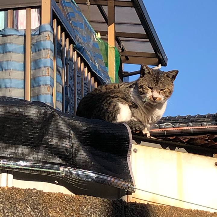 Ba5b6e3b f5b6 4f1b 9db5 c4747a8e149d 1575207249817