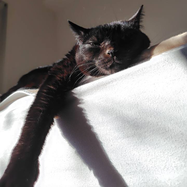 Ba5becc1 cd3a 4923 b2ad 442ceb66bf1c 1737765654024