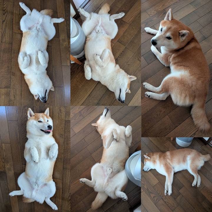 Ba5c1160 ece5 4d1f b510 651fc44af3e3 1760595010838