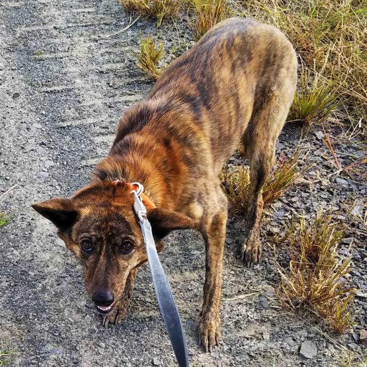 Ba5c5c3a 90a5 41a7 8e0d 52dada71a0ea 1539505597947