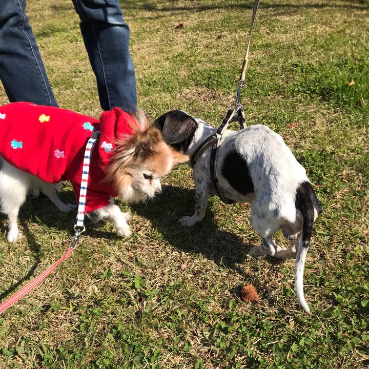 Ba5c6342 d2f2 40d6 b993 f8a60c1051db 1511497316688