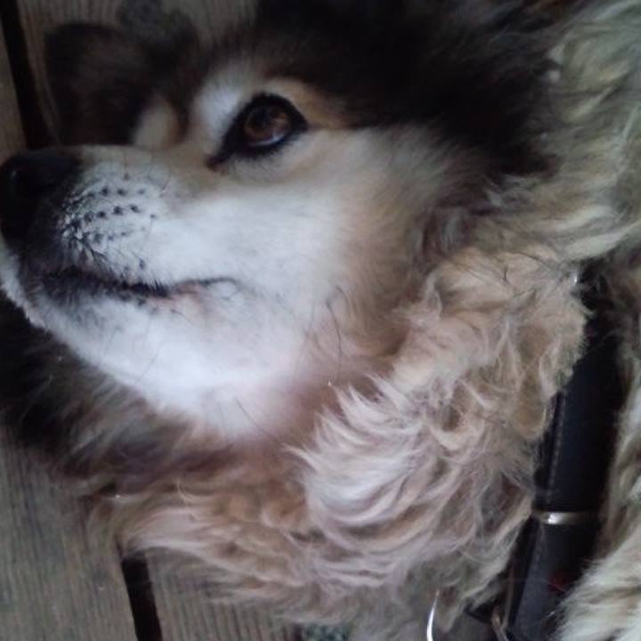 Ba5c6eb2 d71f 4395 ad9c 766db92c66c4 1619982676469