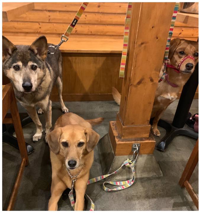 Ba5c6f6c 0e20 4454 899a 6e30f469e52b 1570440293027