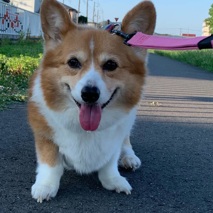 Ba5c78fd 60b9 41cc 8337 a0566e0587f2 1690665506031