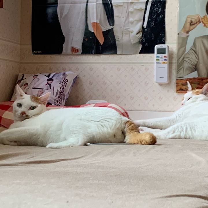 Ba5cb5fe 12b4 4bfd be41 559fb69c5425 1626990550726