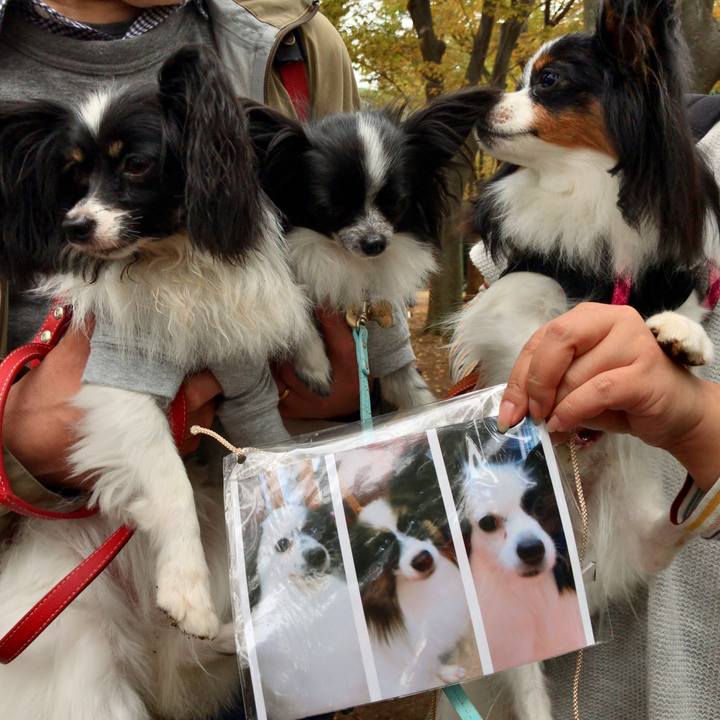 Ba5ce792 8c6a 4a6f 9ec9 9743ca144deb 1509177625059