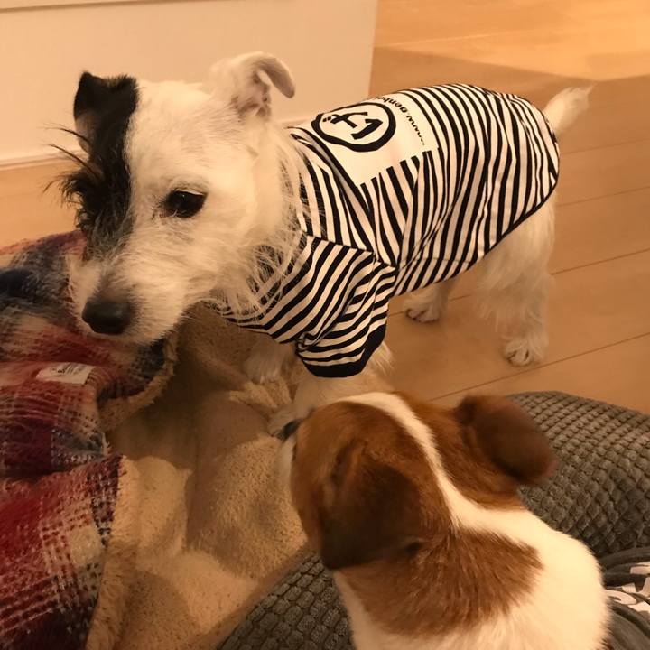 Ba5d0bc6 90d2 41a9 b8d7 ec7f9c95e0e5 1540802525209