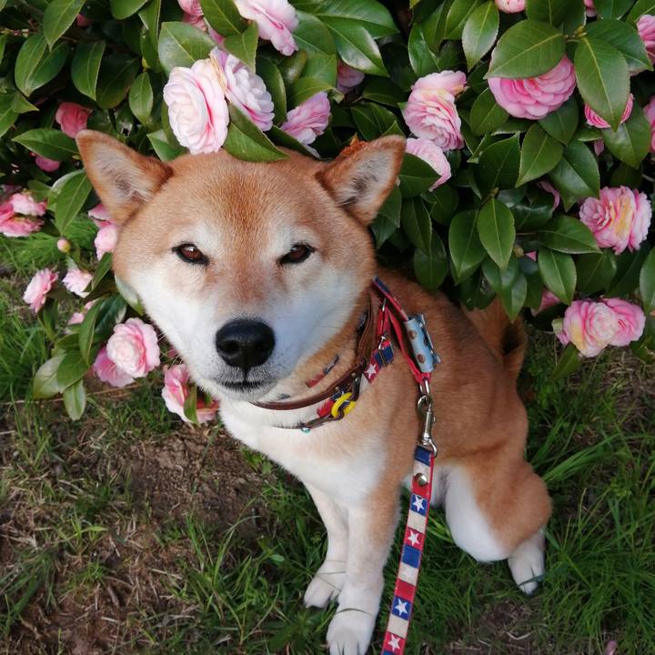 Ba5d3fa6 6025 4f82 b810 e016d79a1c69 1679305270733