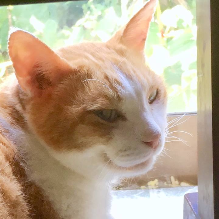 Ba5d75bd 011e 4410 87f9 052ee50d3d58 1565062897346