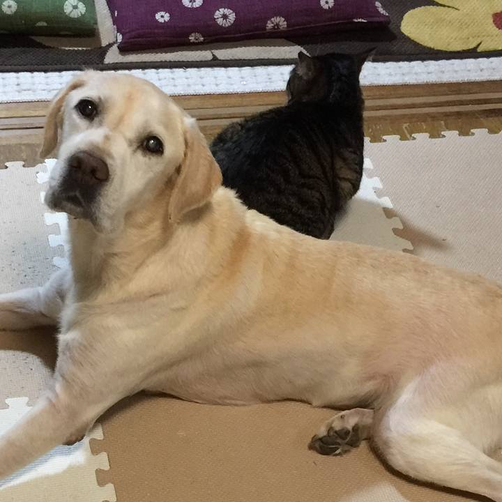 Ba5d9798 f557 4b22 bb68 5760a6d245cf 1602553536159