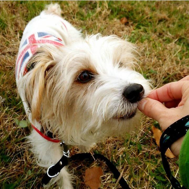 Ba5dbd8b 277c 42ad bb63 4ce02b5d7cda 1735567388963