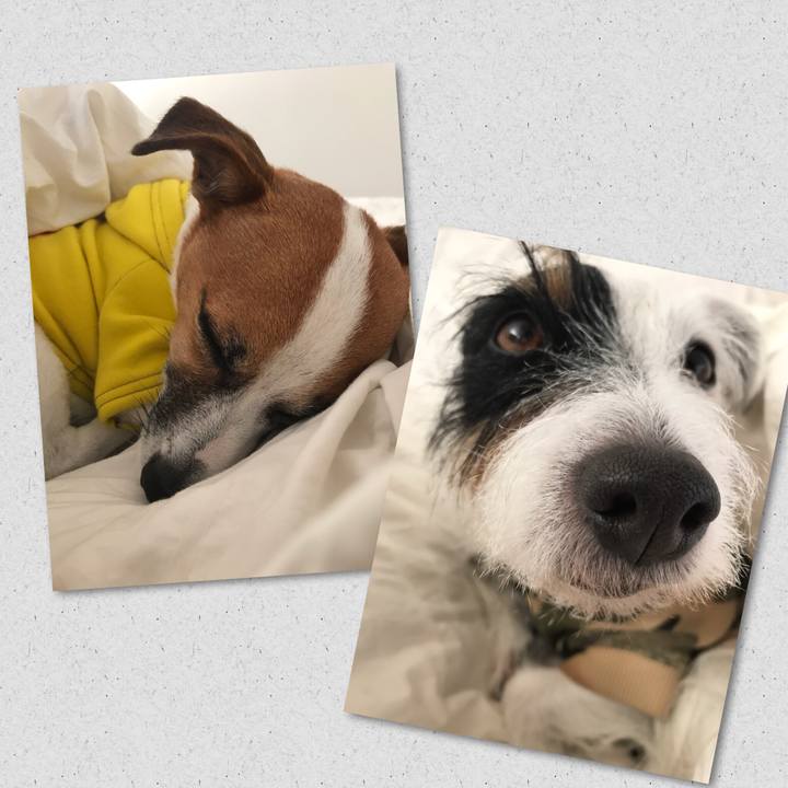 Ba5e00e2 3839 414f 81f7 30d5f5ba6ef6 1545173994818