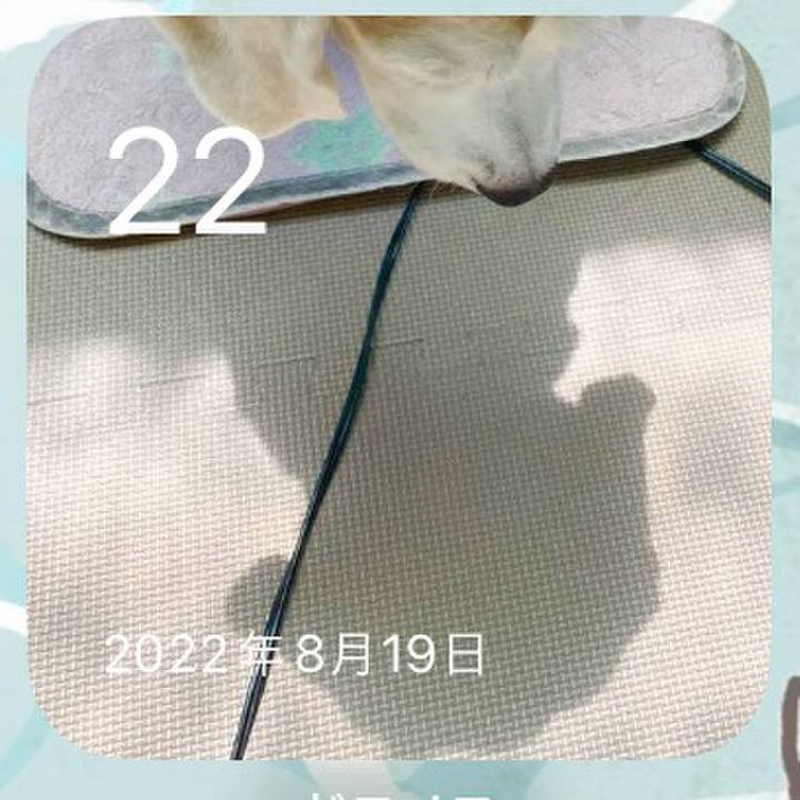 Ba5e0d66 96e8 4927 b61b fdcb9a55df80 1724283762839