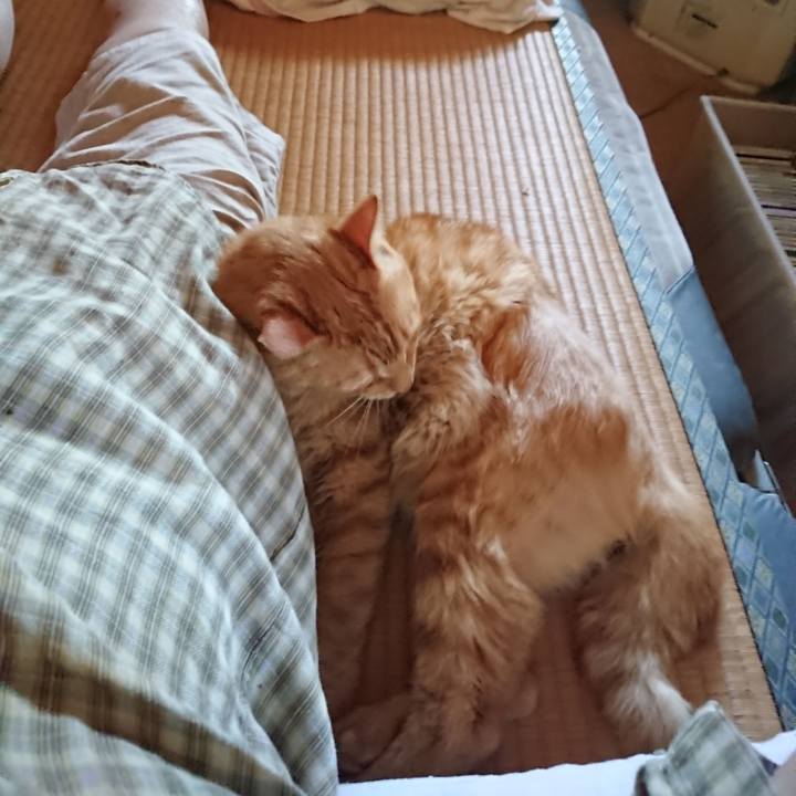 Ba5e61ae 499f 4b50 91dd 145ebe0b592d 1661069480039