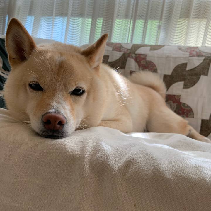 Ba5e8a12 7f50 4947 a576 76e391f0ee06 1629418580697