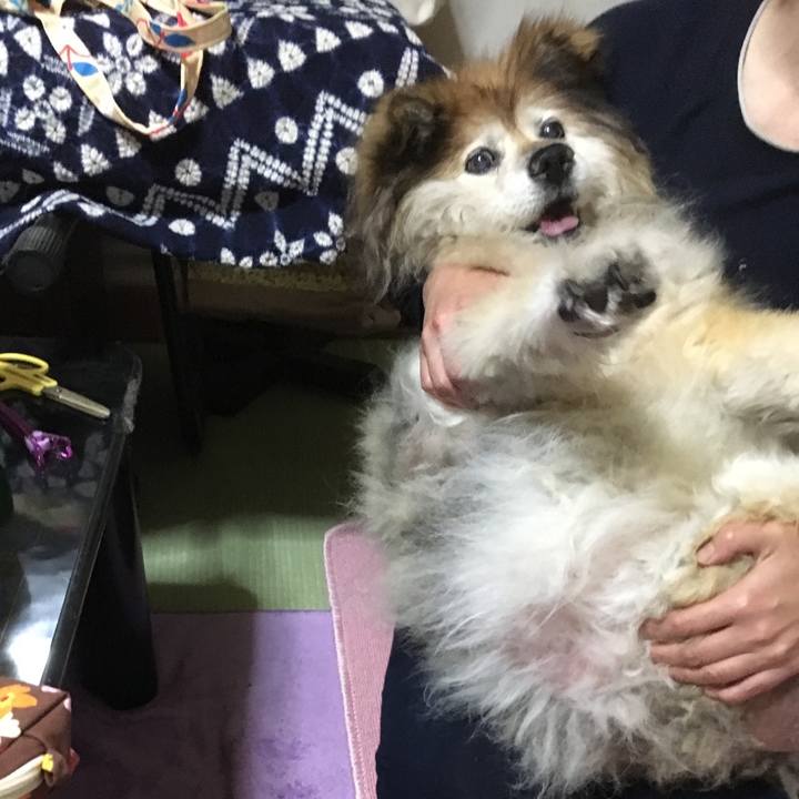 Ba5f082c 86ec 4a82 961e 1942a91df2c3 1581443361262