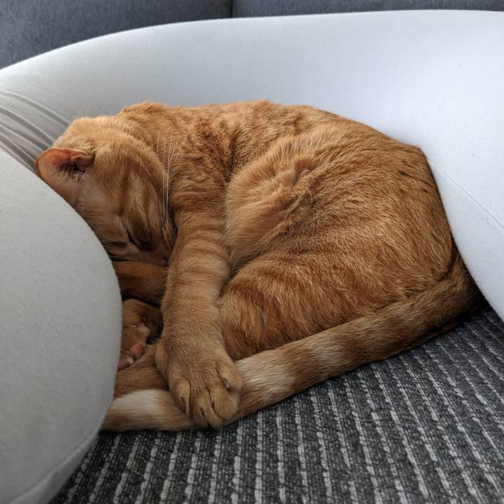 Ba5f3c0b e6df 4b16 ac4f 1c5a52d4f4f4 1678844857829