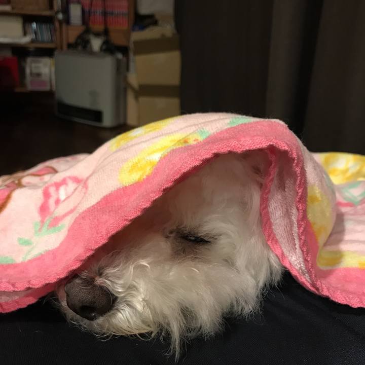 Ba5f7f54 8d62 4031 9c0e 34fb6b4076a3 1543750999714