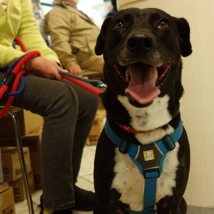 Ba5f8974 096c 4ee3 ba01 e3cd9dac9eb3 1618569077657