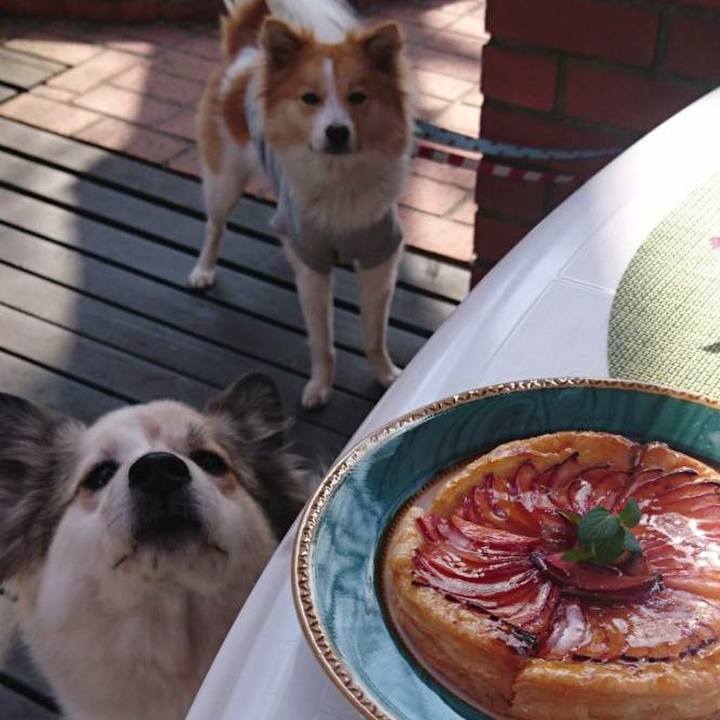 Ba5f9ab3 fcf4 44bc ad1b dc6a29937642 1519395394170