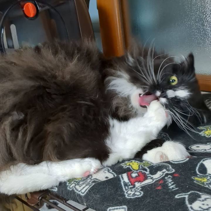 Ba5fbc19 91b8 4a03 9166 3ca1c6a9638a 1674017665257