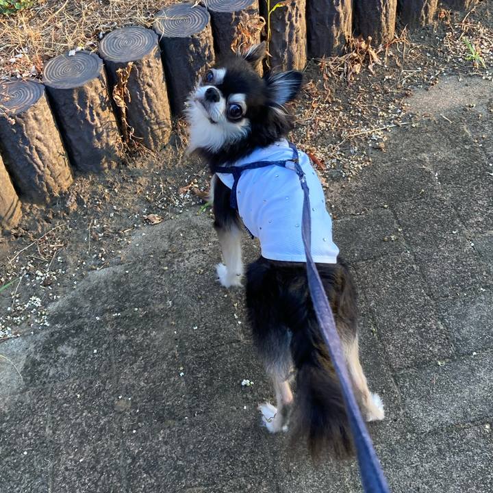 Ba5fc365 5123 462a b6de 7a931d2441c5 1691246274958