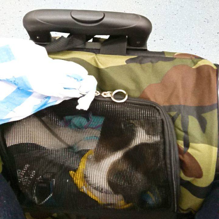 Ba5fca3c 937c 46f9 9f39 f45b6d921e84 1510990233094