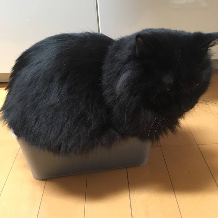 Ba5fd739 f86f 4a39 a585 43abe2da6459 1574437270047