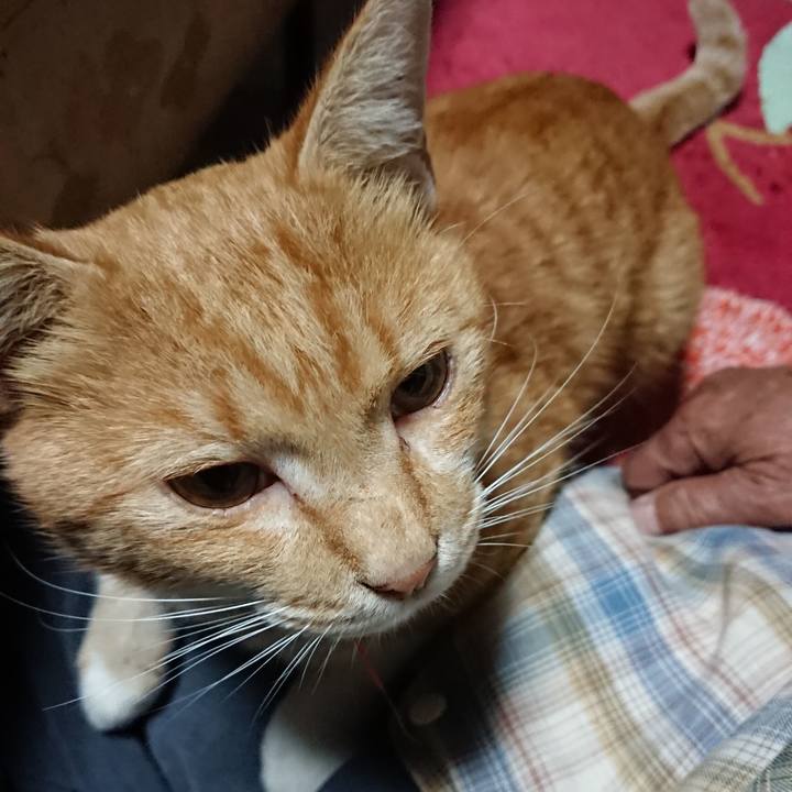 Ba5ffd46 1e1c 41e0 9d35 119e5499d3f6 1569613433296