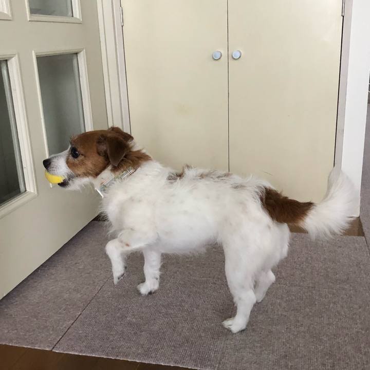 Ba6001ef 63b1 4806 a715 320f2bcc69ea 1589615560092