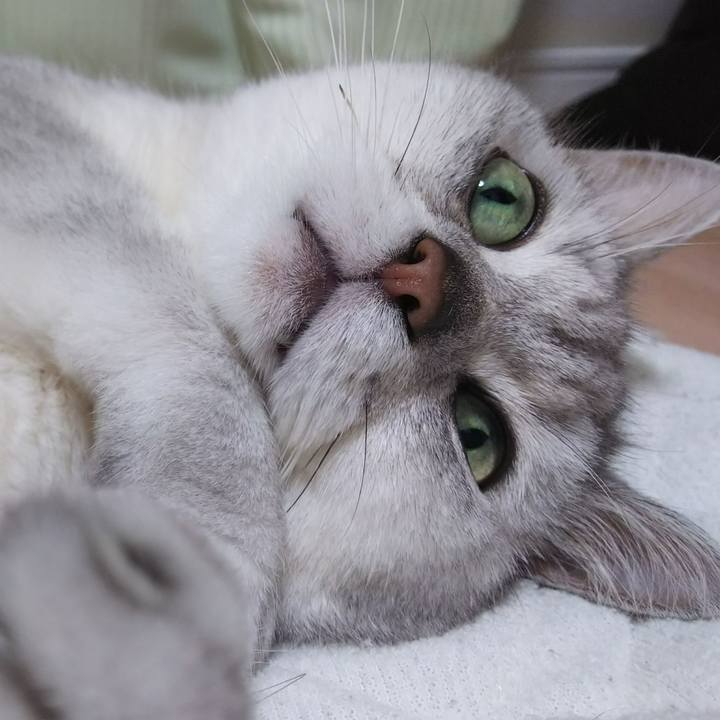 Ba600786 5147 463e 9218 62109ed4614b 1529414919729