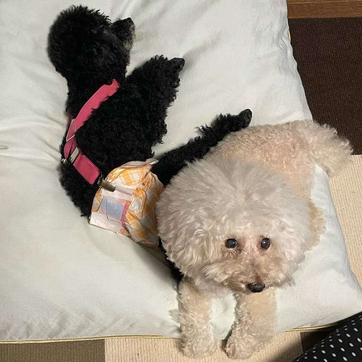 Ba601548 8c54 4da6 85c2 d6629b8f7180 1757744057070