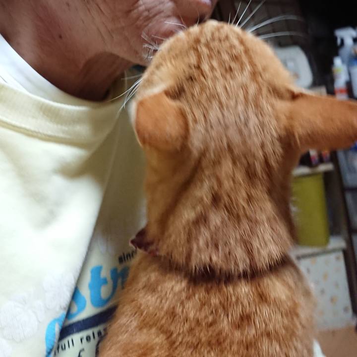 Ba603820 baff 4333 bfea 3a371860fd99 1602014261937