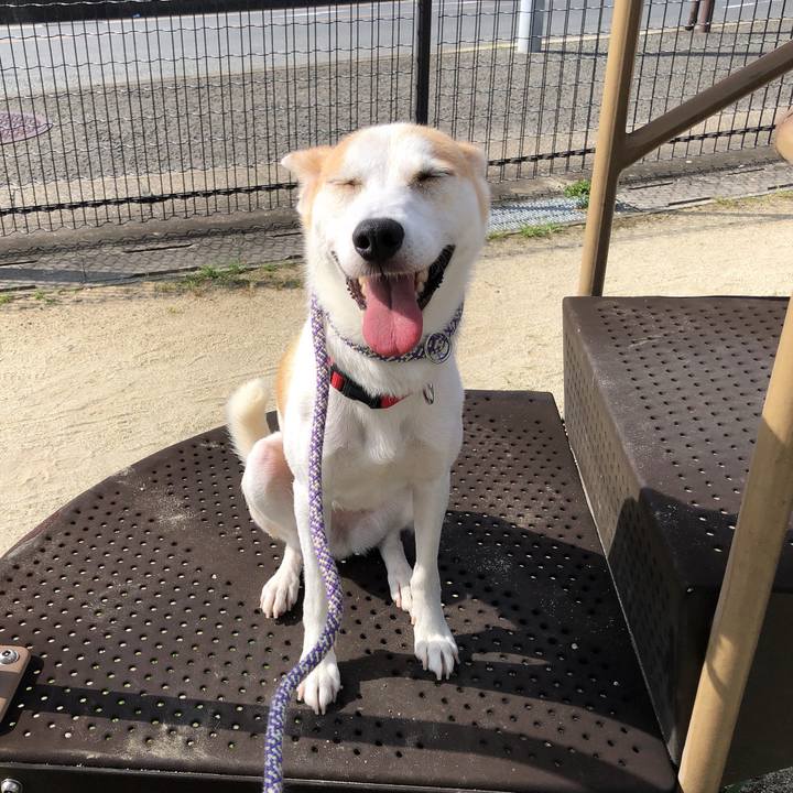 Ba603a1f 6d0c 4061 a2df 04cee3a06f35 1597626238632