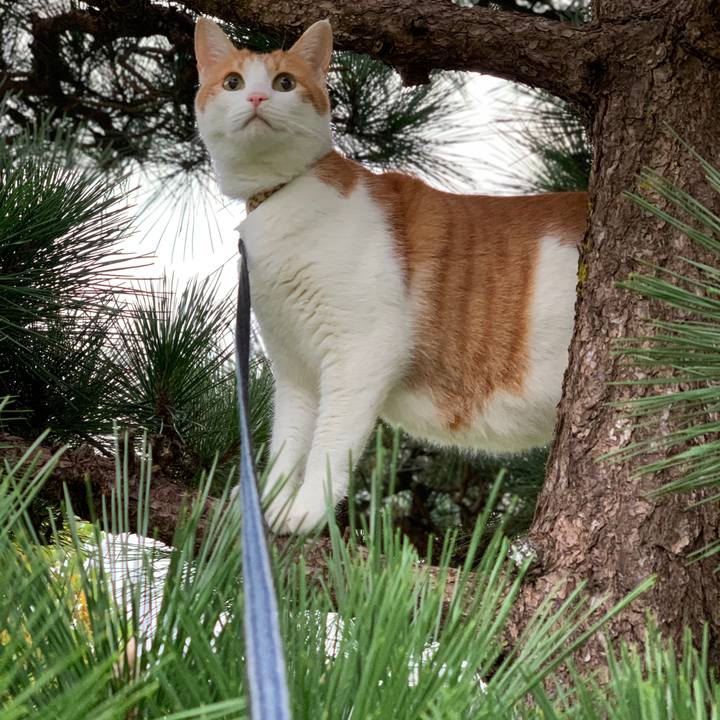 Ba603eb8 485d 46dc 96dd 6de9af6240a7 1602918816242