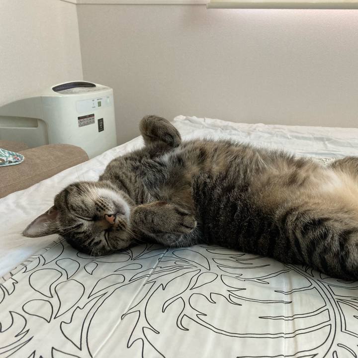 Ba606035 a7f3 4426 b119 2a99a7ce9182 1627780392436